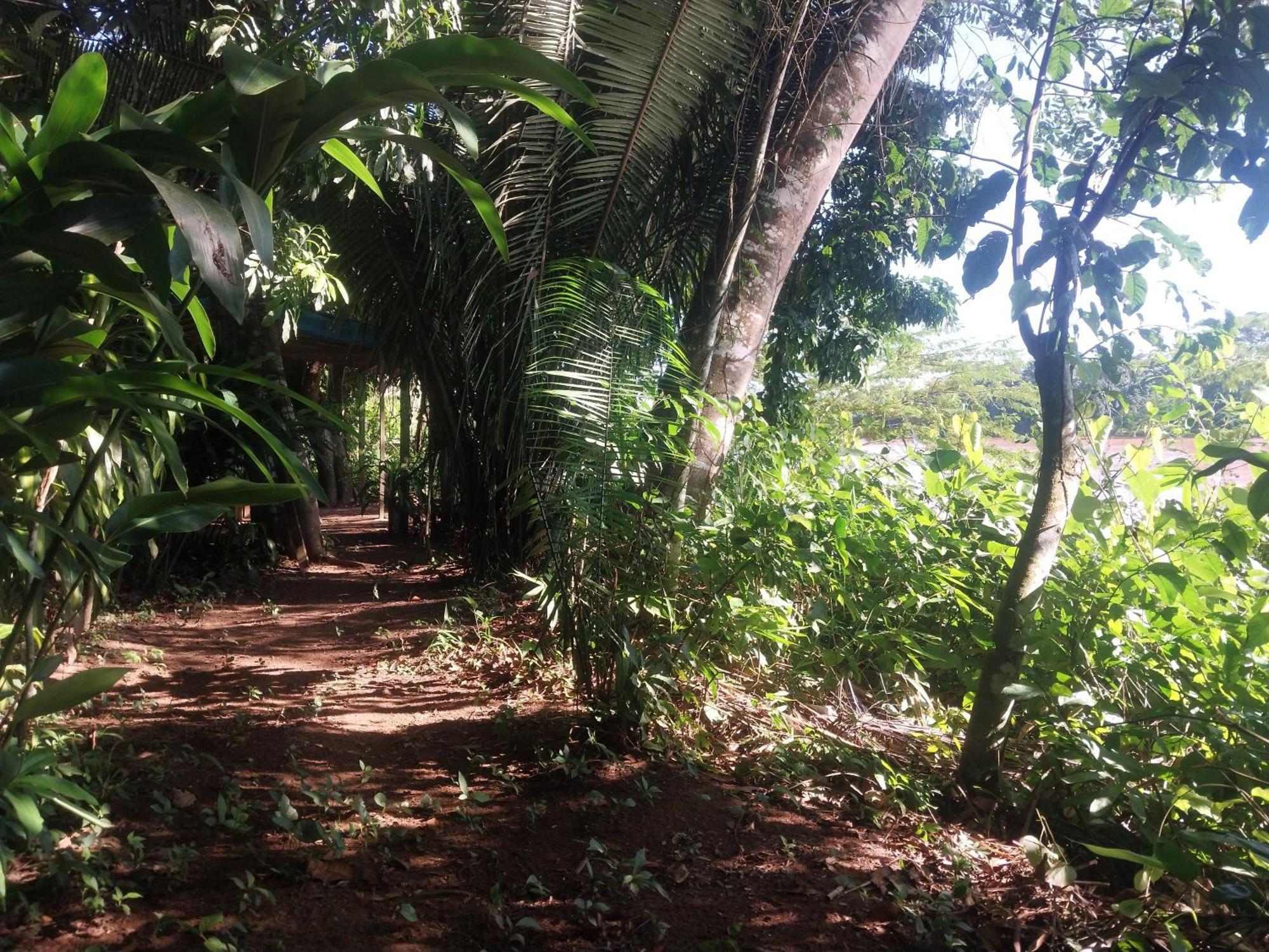 Jardin De Las Musas Puerto Maldonado Quarto foto
